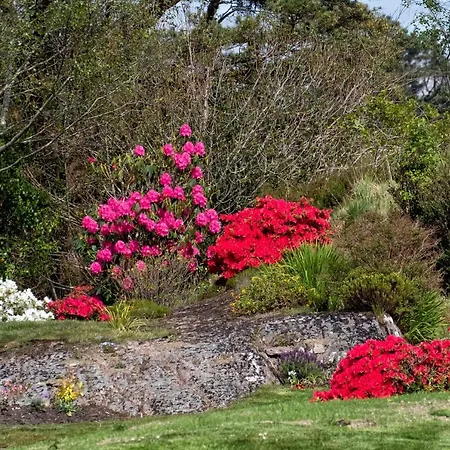 Cosy Cottage, Near The Sea, Glengarriff. Appartement