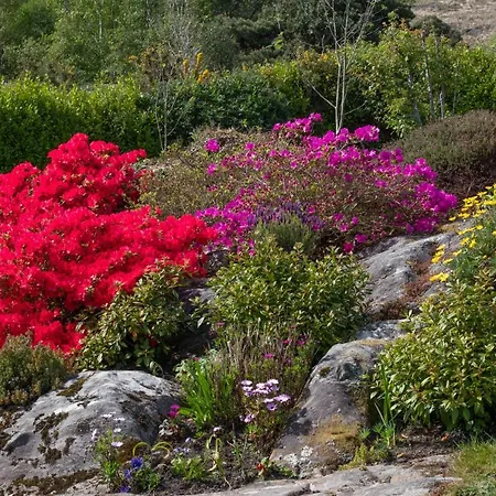 Cosy Cottage, Near The Sea, Glengarriff. Appartement *